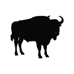 Silhouette of a powerful bison standing isolated against a clean white background
