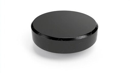 Black, round, puck-shaped object, smooth top, textured base, on white background