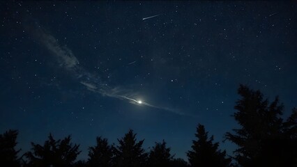 starry night sky