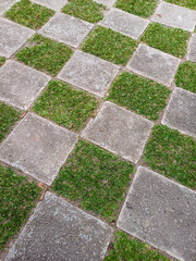 A checkered pattern of square pavers and grass creates a visually appealing pathway. The gray pavers contrast with the vibrant green grass, offering a blend of natural and constructed elements