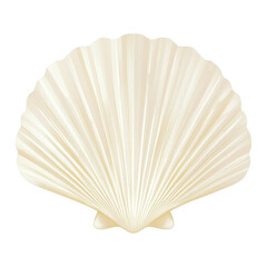 White seashell with fan shape and ridged surface isolated transparent background elegant and natural design perfect for beach