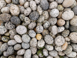 A collection of pebbles with varying colors and textures creates a visually rich surface. The...