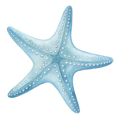 Pastel Blue Watercolor Sea Stars Clipart Delicate Starfish Illustration
