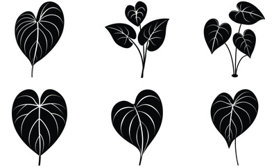 Anthurium Plant Silhouette Set – Vector Collection of Tropical Anthurium Leaves and Flowers for Indoor Botanical and Decorative Design Projects