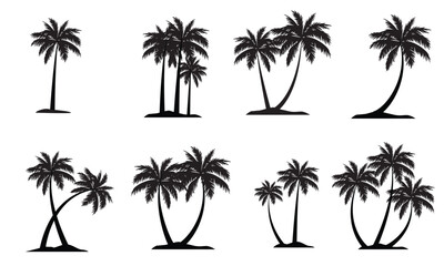 Black Palm Tree Isolated on White Background,types of trees,this isolated palm tree silhouette image is versatile for backgrounds,nature themed.