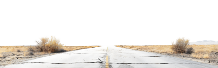 Road landscape desert highway tumbleweed cracked pavement
