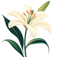 Beautiful white lily flower with green leaves, detailed petals, and orange stamens, symbolizing purity and elegance in nature