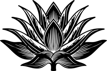 black and white flower