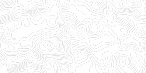 Abstract curve grid map and topo contour map white background. Topographic contour lines. Seamless...