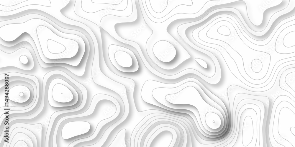 Poster abstract curve grid map and topo contour map white background. topographic contour lines. seamless p