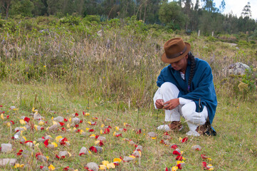 Andean shaman preparing offering with flower petals and stones in the andes mountains