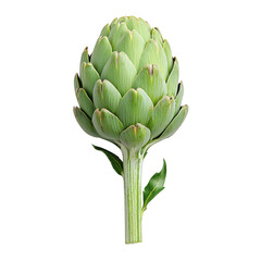 Fototapeta premium Fresh green artichoke with sturdy stem and layered leaves, isolated transparency background, showcasing its natural texture