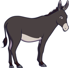 Donkey Vector Illustration