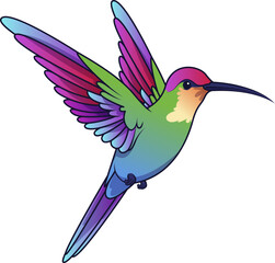 Obraz premium Hummingbird Vector Illustration