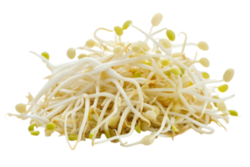 a pile of sprouts on a white surface