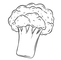 broccoli digital drawing illustration isolated