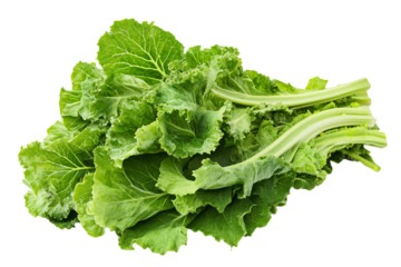 a bunch of green leafy vegetables on a white surface