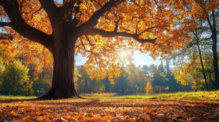 Autumn leaves fall from a large tree in a park setting, with the sun shining through the branches.
