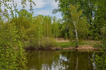 Spring landscape on the river with a fishing bridge, young birch trees, first foliage