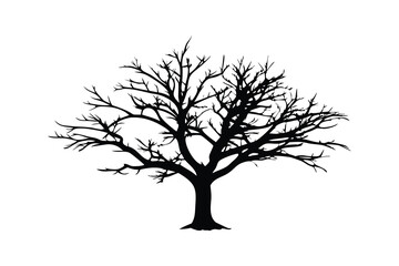 Silhouette of a leafless tree with widespread, intricate branches and sturdy trunk, isolated on a clean white background for nature, landscape, or seasonal design use.