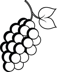 grapes vector illustration