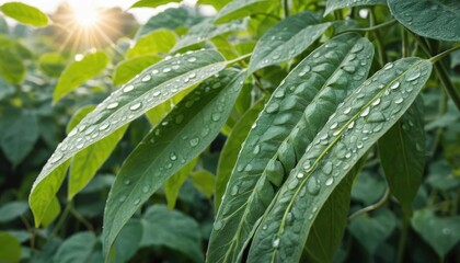 Dew-Kissed Leaves: A Sunrise Serenade
