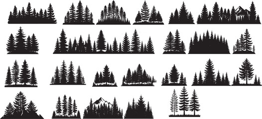 Silhouettes of Coniferous Forest Borders