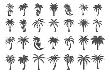 Fototapeta premium Minimalist Date Palm tree icon set Logo design Template . vector illustration