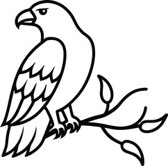 Obraz premium bird of prey