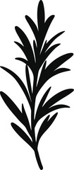 Rosemary black silhouette