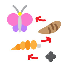 Butterfly Metamorphosis Vector Flat Icon Design