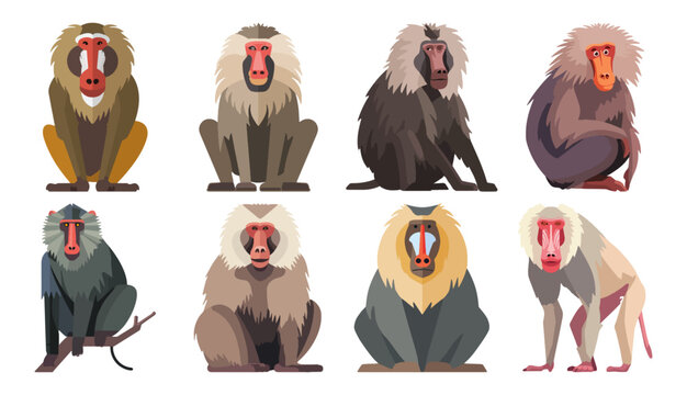 Set of Baboon Flat Vector Illustration on Transparent Background