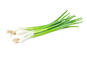 a bunch of green onions on a white surface