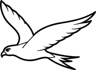 white dove isolated on white