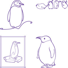 set of penguins on white background