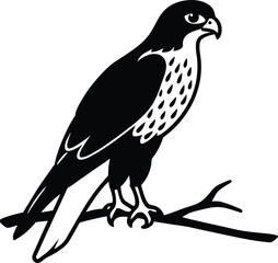 Obraz premium vector illustration of a bird