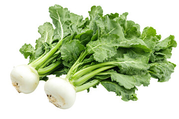a bunch of green vegetables with white tops