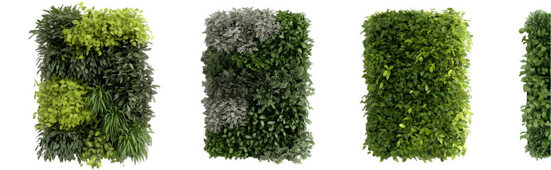 Naklejka premium Green walls display plant texture and pattern