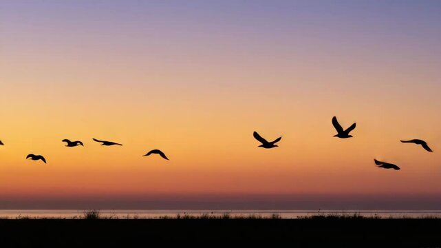 Flock of birds flying in formation during a vibrant sunrise sky  