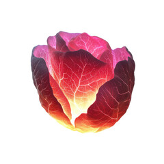 Fototapeta premium Illuminated Rose Abstract Floral Art with Glowing Petals