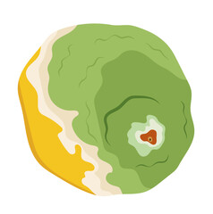 Rotten or Decay Lemon Fruit Illustration Isolated on White Background