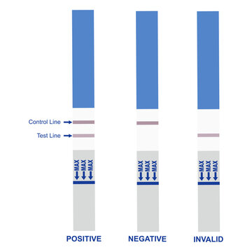 Blue HCG Pregnancy Test Strip Displaying All Possible Outcomes, positive, negative and invalid