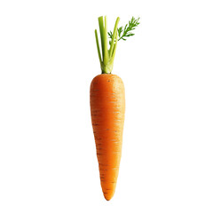 a single carrot with a green stem sticking out of it