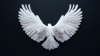 Elegant White Bird with Outstretched Wings Against Dark Background for Nature and Wildlife Themes