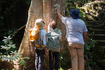 Hikers admiring massive tree forest stand looking up at the towering tree themes of discovery, serenity untouched wilderness guide trekking and trail exploration holiday ecotourism concept