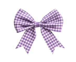 A charming purple gingham bow tied with care against a contrasting black backdrop, ideal for design.