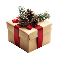 Christmas Gift Box with Pine PNG