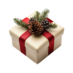 Christmas Gift Box with Pine PNG