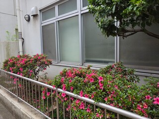 Yokohama, Japan Side of Building