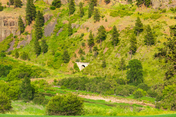 USA, Washington State, Eastern Washington,  Palouse Region. Colfax. river Valley. diamond tunnel.